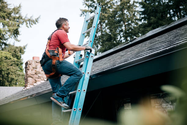 Reliable Murfreesboro, NC Roofing service Solutions