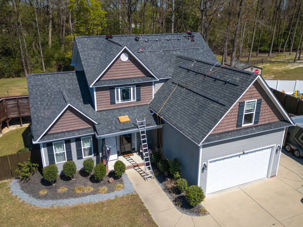 Best Roof Moss and Algae Removal  in Murfreesboro, NC